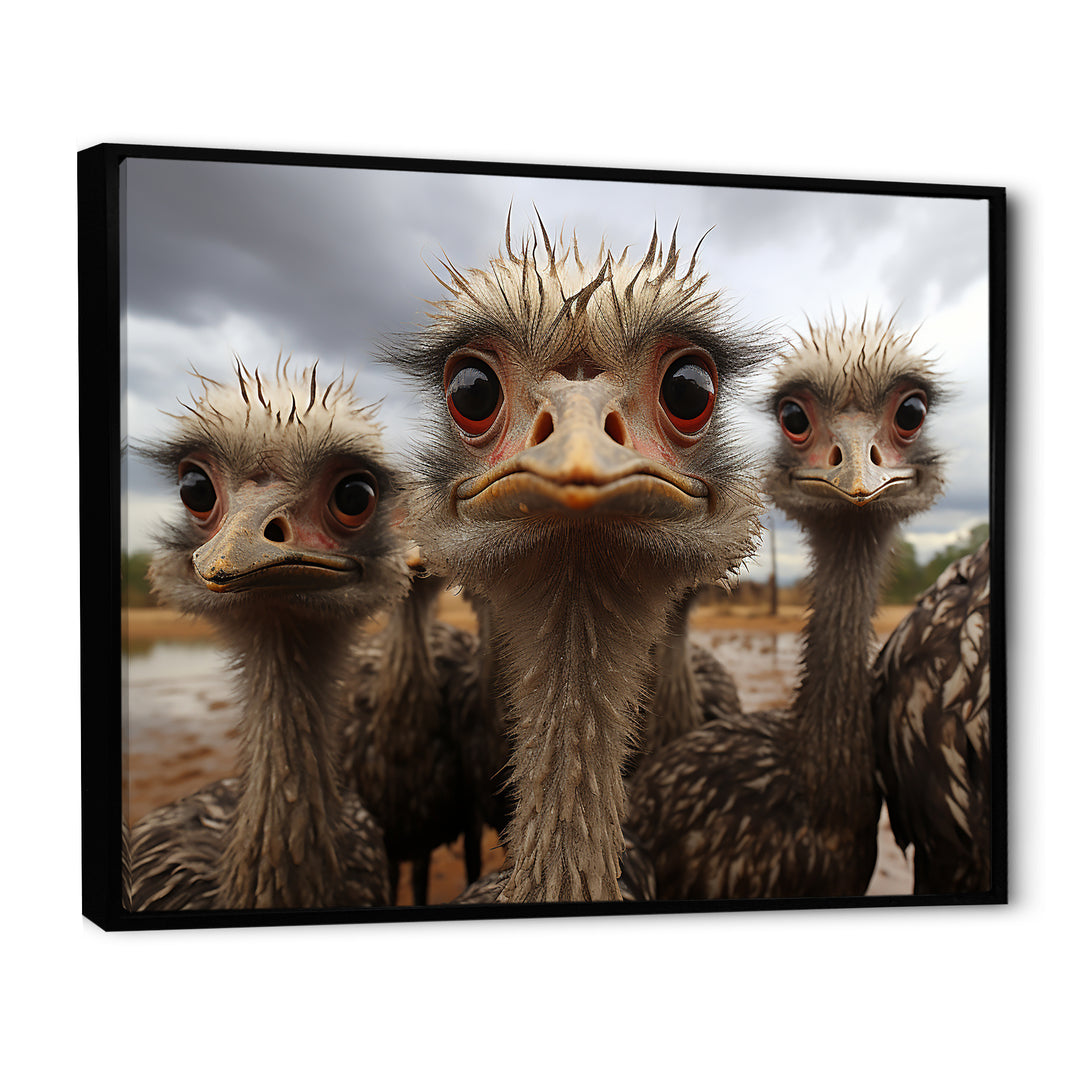 Monochrome Grey Ostriches Portrait - Beige Ostriches Wall Art