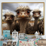 Monochrome Grey Ostriches Portrait - Beige Ostriches Wall Art
