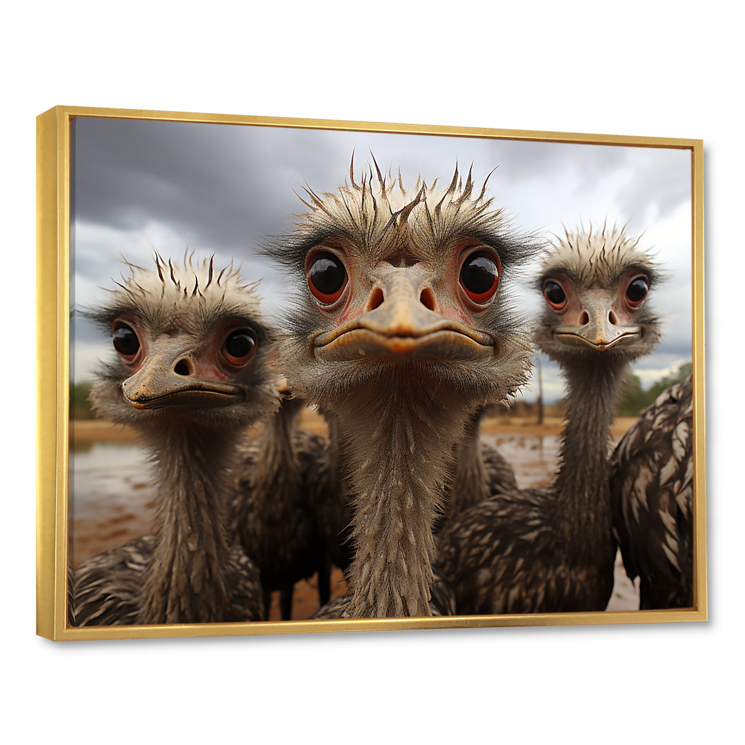 Monochrome Grey Ostriches Portrait - Beige Ostriches Wall Art