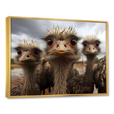 Monochrome Grey Ostriches Portrait - Beige Ostriches Wall Art
