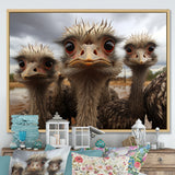 Monochrome Grey Ostriches Portrait - Beige Ostriches Wall Art