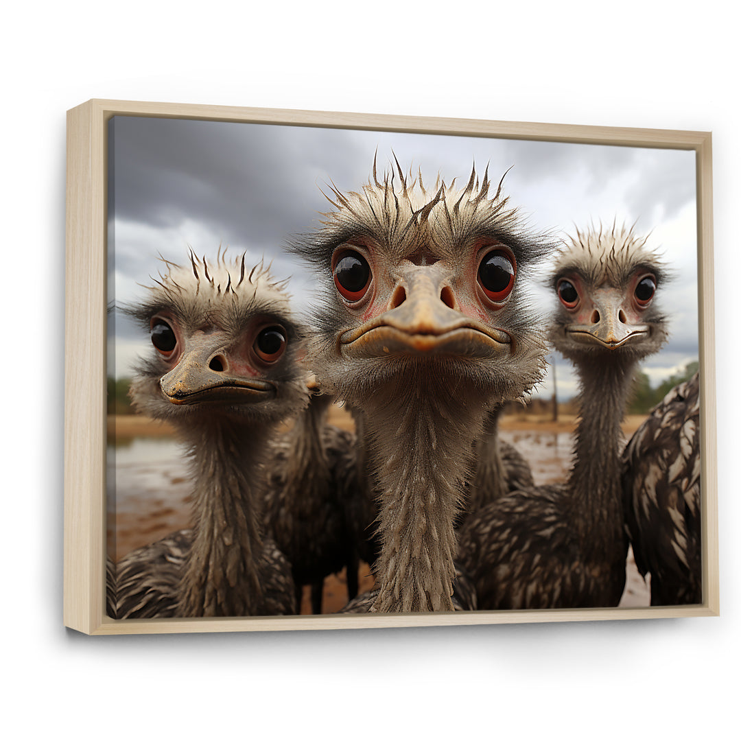 Monochrome Grey Ostriches Portrait - Beige Ostriches Wall Art