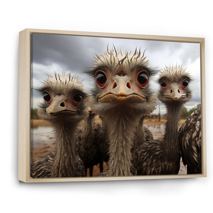 Monochrome Grey Ostriches Portrait - Beige Ostriches Wall Art