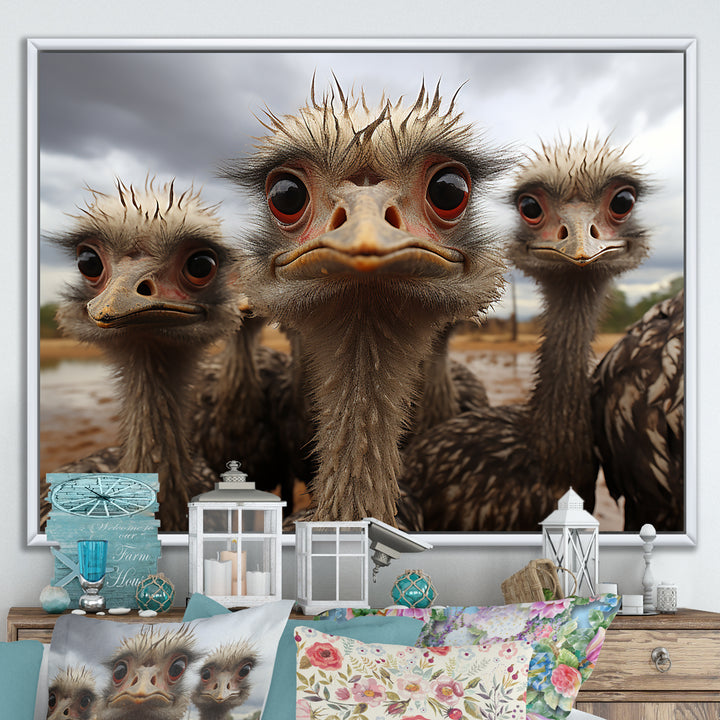 Monochrome Grey Ostriches Portrait - Beige Ostriches Wall Art