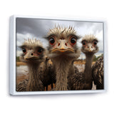 Monochrome Grey Ostriches Portrait - Beige Ostriches Wall Art