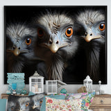 Mysterious Ostrich Chiaroscuro - Ostriches Home Decor Art