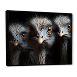 Mysterious Ostrich Chiaroscuro - Ostriches Home Decor Art