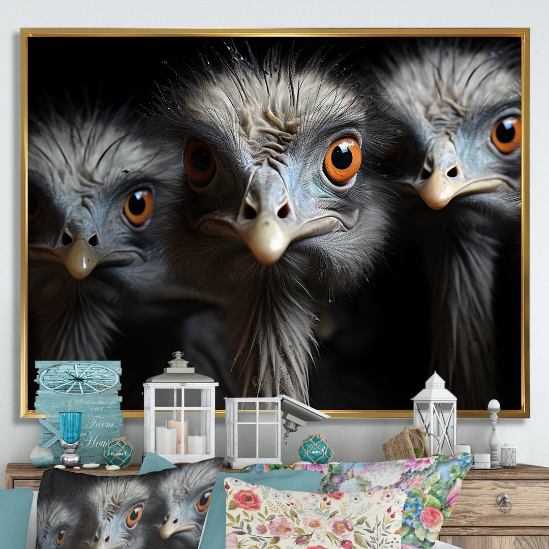 Mysterious Ostrich Chiaroscuro - Ostriches Home Decor Art