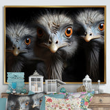 Mysterious Ostrich Chiaroscuro - Ostriches Home Decor Art