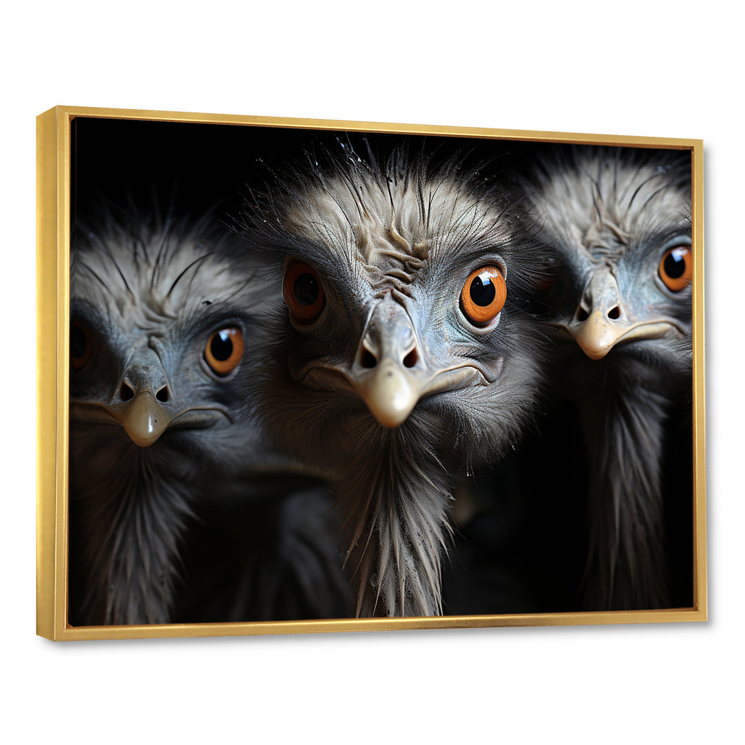 Mysterious Ostrich Chiaroscuro - Ostriches Home Decor Art