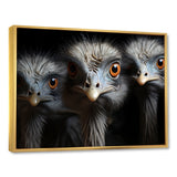 Mysterious Ostrich Chiaroscuro - Ostriches Home Decor Art