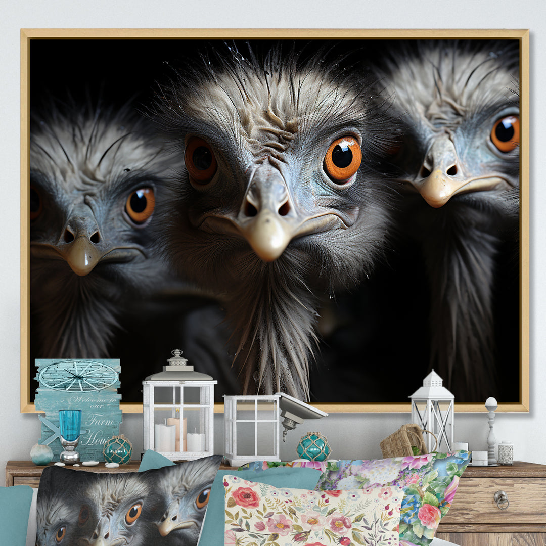 Mysterious Ostrich Chiaroscuro - Ostriches Home Decor Art