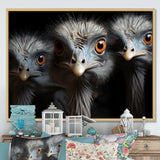 Mysterious Ostrich Chiaroscuro - Ostriches Home Decor Art