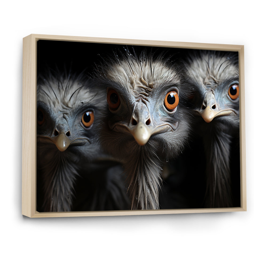 Mysterious Ostrich Chiaroscuro - Ostriches Home Decor Art