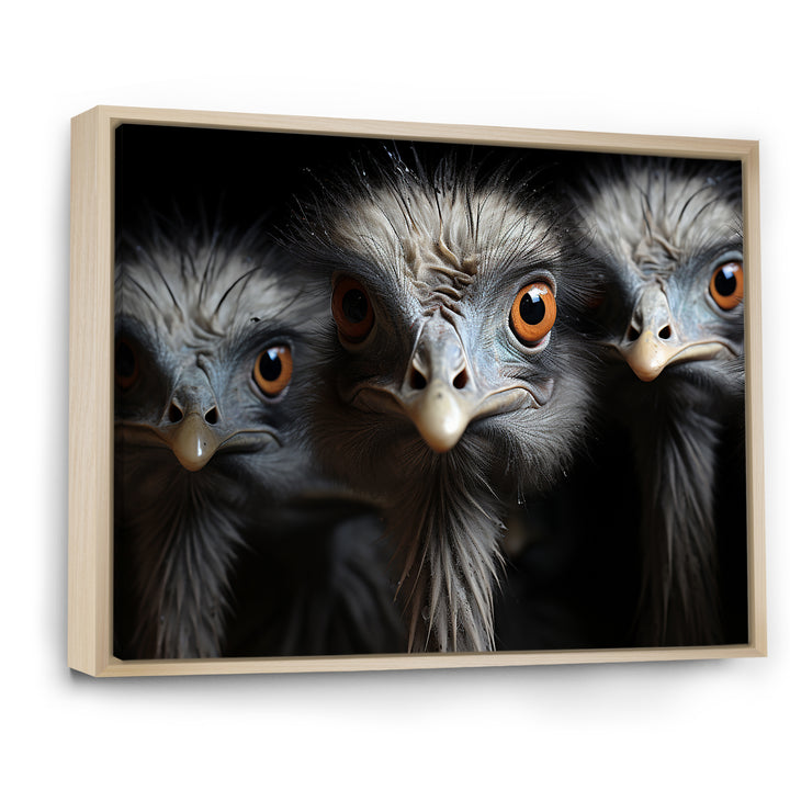 Mysterious Ostrich Chiaroscuro - Ostriches Home Decor Art