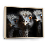 Mysterious Ostrich Chiaroscuro - Ostriches Home Decor Art