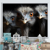 Mysterious Ostrich Chiaroscuro - Ostriches Home Decor Art