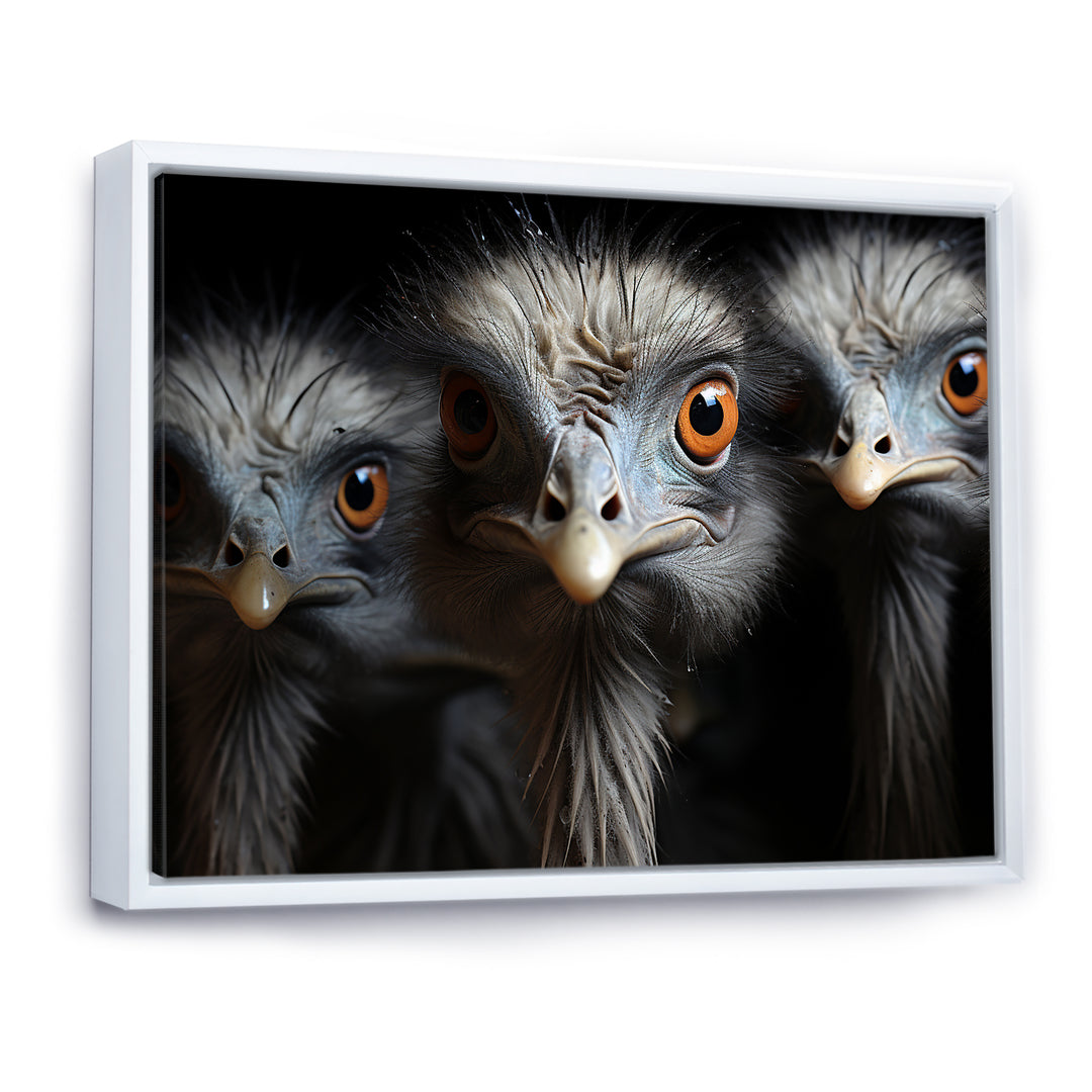 Mysterious Ostrich Chiaroscuro - Ostriches Home Decor Art
