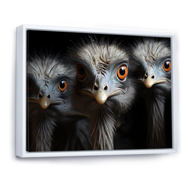 Mysterious Ostrich Chiaroscuro - Ostriches Home Decor Art