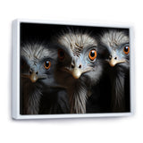 Mysterious Ostrich Chiaroscuro - Ostriches Home Decor Art