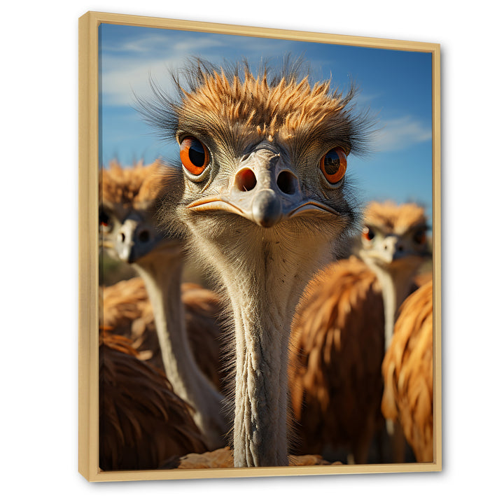 Ostrich Elysium Portrait - Ostriches Bedroom Wall Art