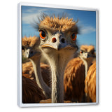 Ostrich Elysium Portrait - Ostriches Bedroom Wall Art