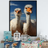 Ostrich Harmony Portrait - Ostriches Canvas Wall Art