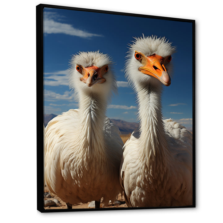 Ostrich Harmony Portrait - Ostriches Canvas Wall Art