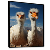 Ostrich Harmony Portrait - Ostriches Canvas Wall Art