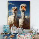 Ostrich Harmony Portrait - Ostriches Canvas Wall Art