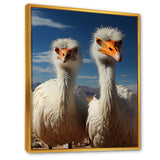 Ostrich Harmony Portrait - Ostriches Canvas Wall Art