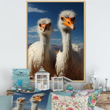 Ostrich Harmony Portrait - Ostriches Canvas Wall Art