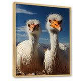 Ostrich Harmony Portrait - Ostriches Canvas Wall Art