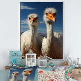Ostrich Harmony Portrait - Ostriches Canvas Wall Art
