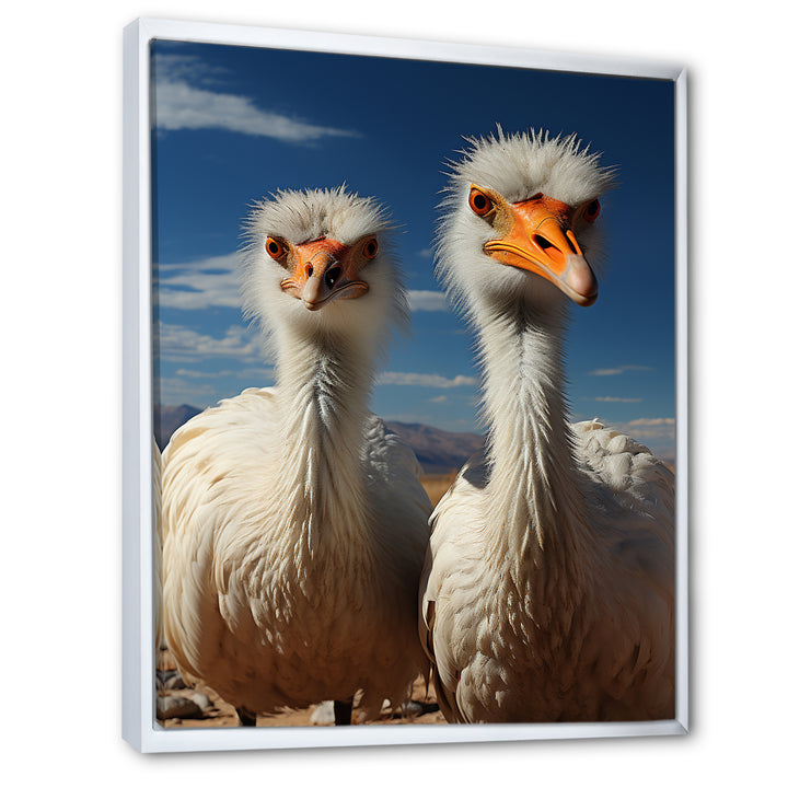 Ostrich Harmony Portrait - Ostriches Canvas Wall Art