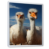 Ostrich Harmony Portrait - Ostriches Canvas Wall Art
