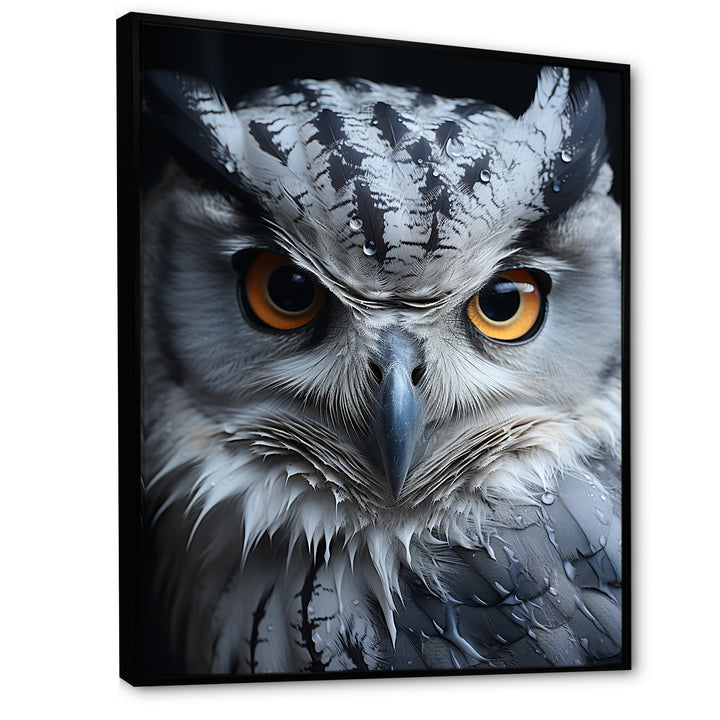 Monochrome Gaze Enlightenment - Yellow Owl Wall Art