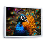 Majestic Colorful Peacocks Harmony - Blue Peacock Wall Art