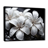 Plumeria Blooms In Stormy Grays - Floral Canvas Wall Art