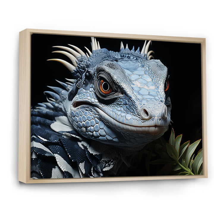 Curious Reptile Amphibian - Reptile Wall Art Prints