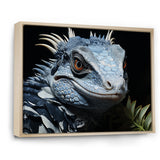Curious Reptile Amphibian - Reptile Wall Art Prints
