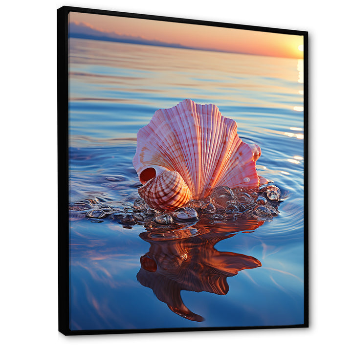 Seashell Oceanic Elegance At Sunset - Seashell Wall Art Prints