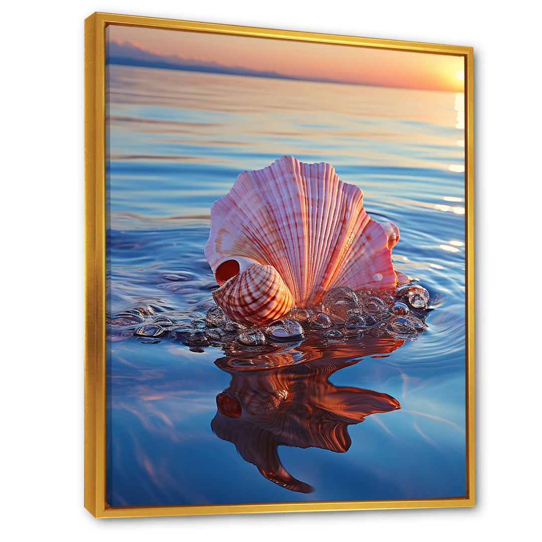 Seashell Oceanic Elegance At Sunset - Seashell Wall Art Prints