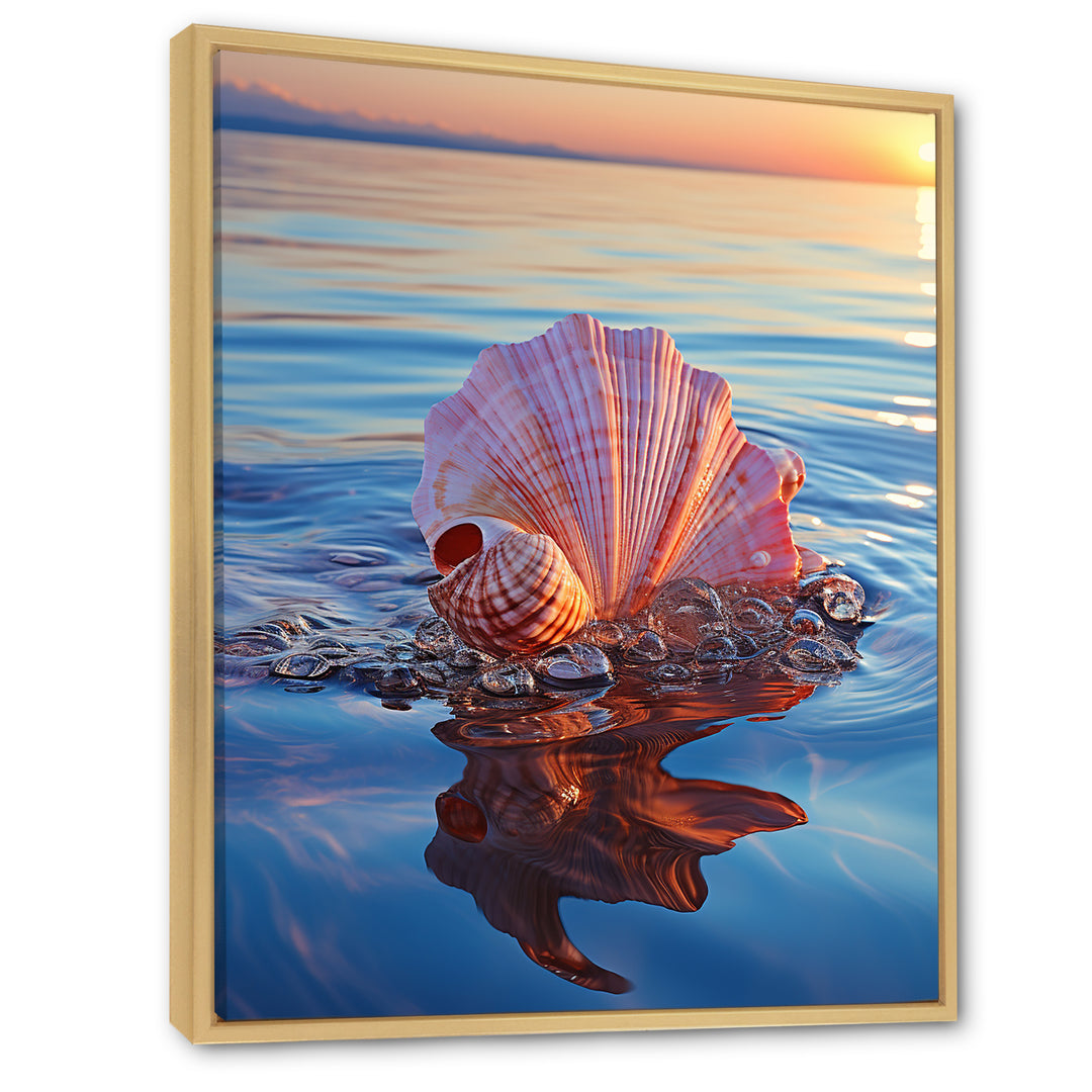 Seashell Oceanic Elegance At Sunset - Seashell Wall Art Prints