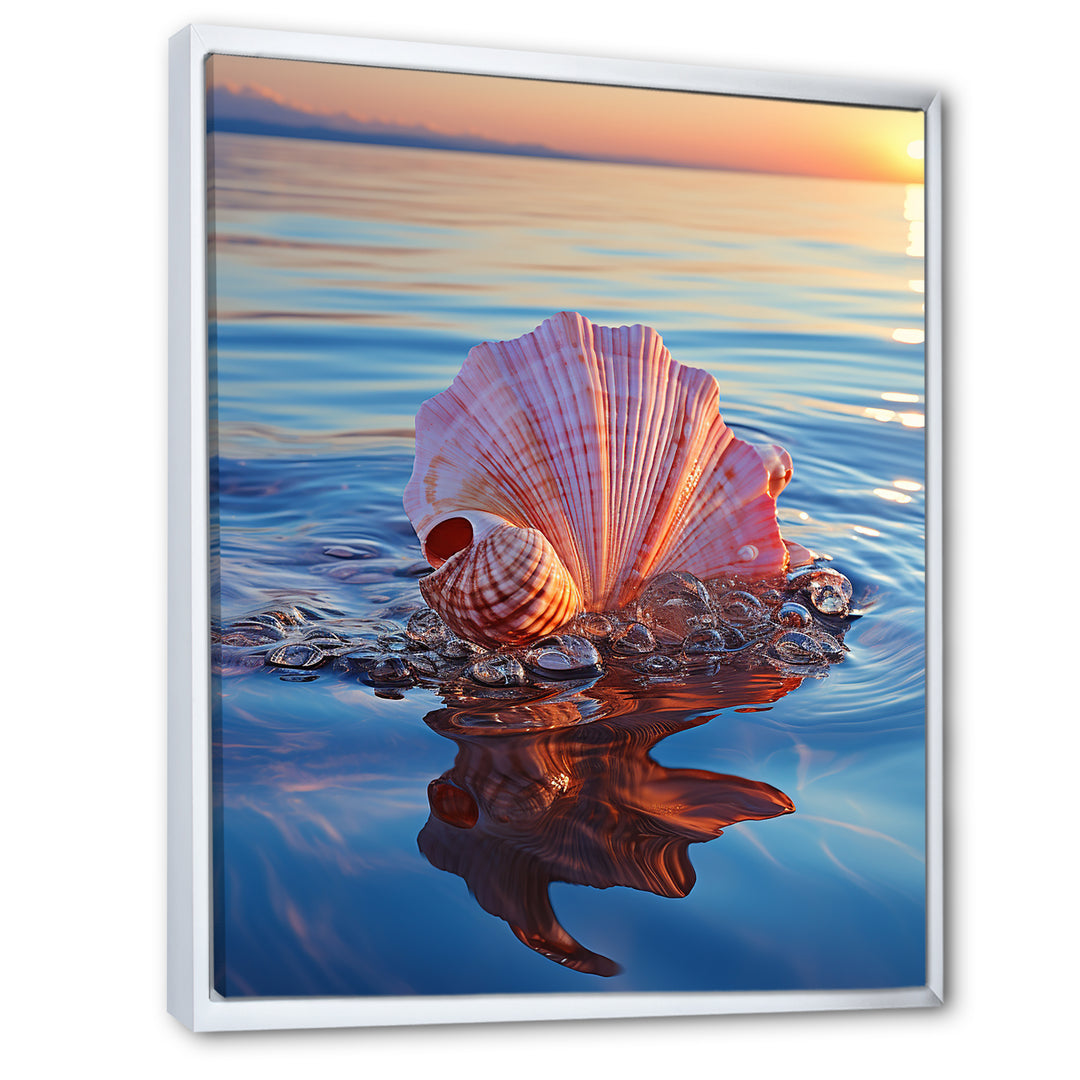 Seashell Oceanic Elegance At Sunset - Seashell Wall Art Prints