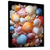 Seashells On Dreamy Tide - Seashell Framed Canvas Art