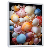 Seashells On Dreamy Tide - Seashell Framed Canvas Art