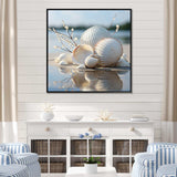 Minimal White Seashell Photography - Animals Canvas Wall Art