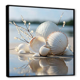 Minimal White Seashell Photography - Animals Canvas Wall Art