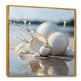 Minimal White Seashell Photography - Animals Canvas Wall Art